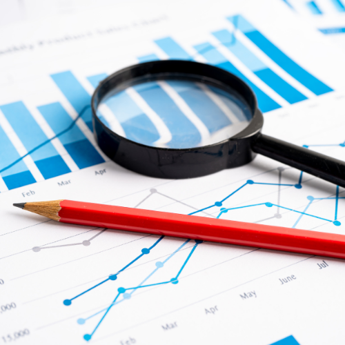 Business Intellagence and risk management services