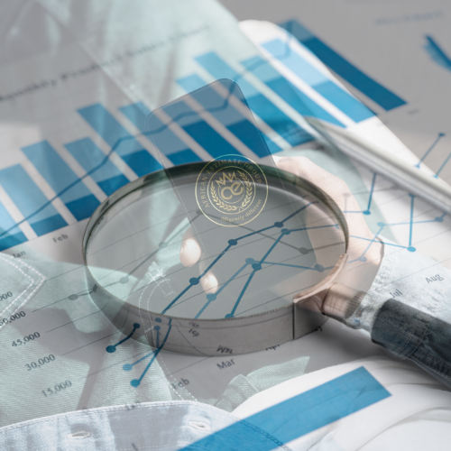 Business Intellagence and risk management services